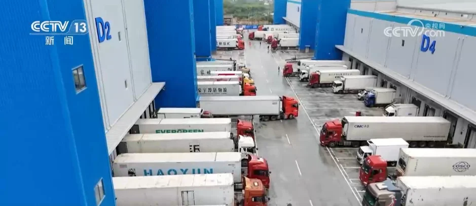 Market Scale Continues To Expand! Cold Chain Logistics Gains Momentum As The Cold Chain Market Heats Up.
